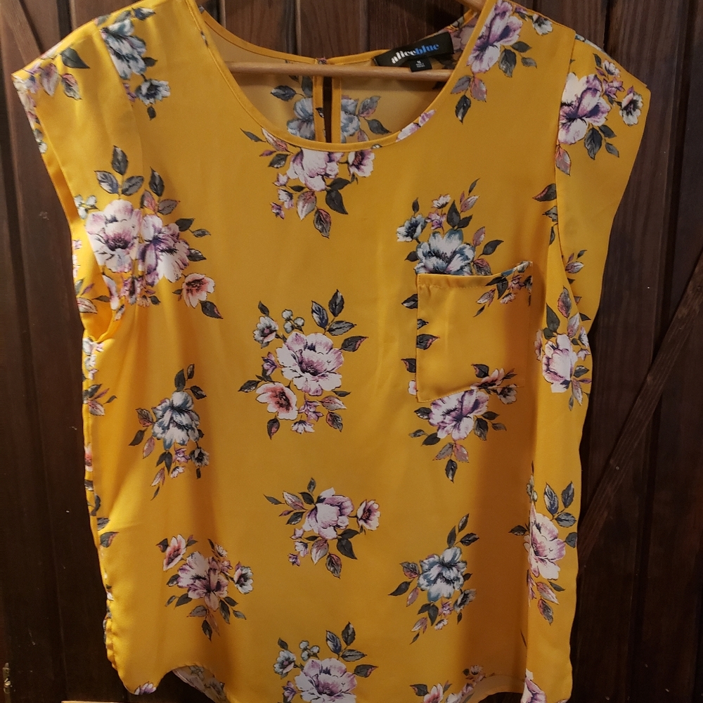 Alice Blue Blouse